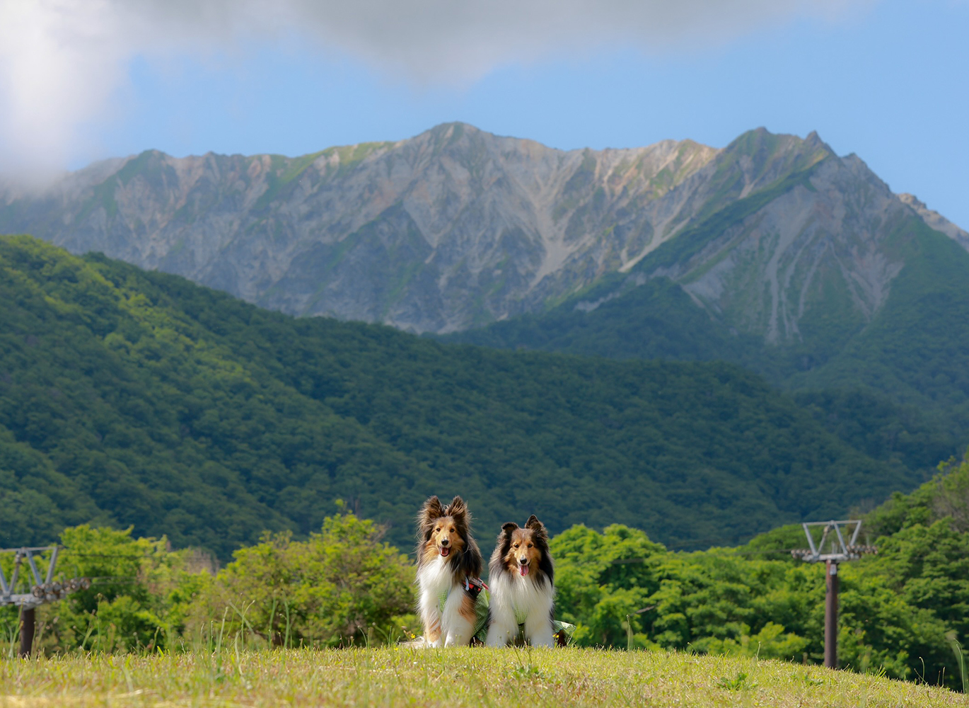 里山の自然に育まれた天然素材